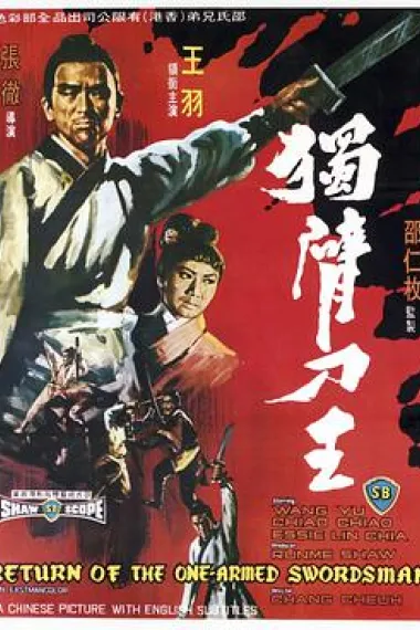 独臂刀王 下载