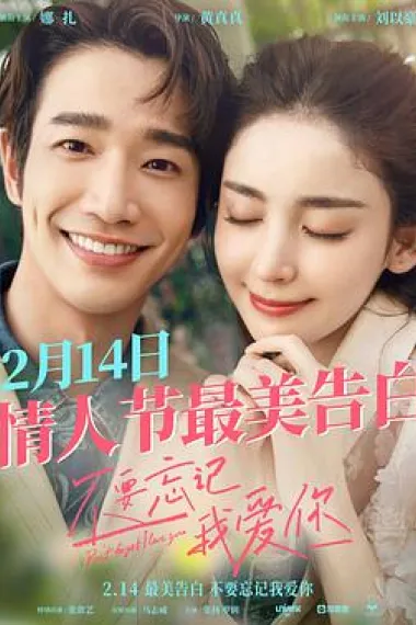 不要忘记我爱你 2160P 4K 杜比视界 下载