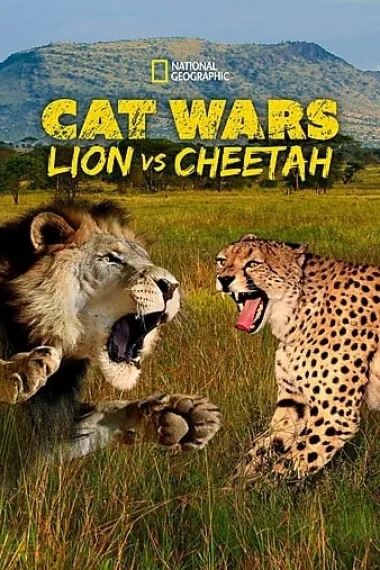 猫科大战:狮子VS猎豹 下载