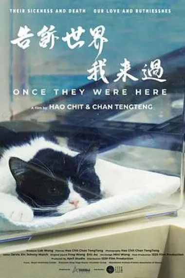 告诉世界我来过 下载