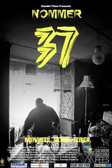 37号 下载