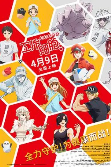 工作细胞：细胞大作战 下载