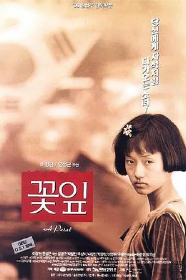 花瓣 下载