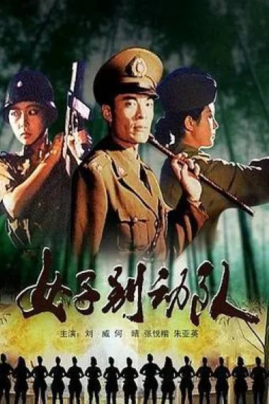 女子别动队 下载