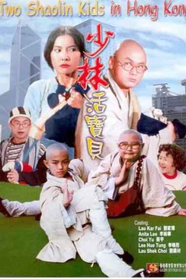 少林活宝贝 下载