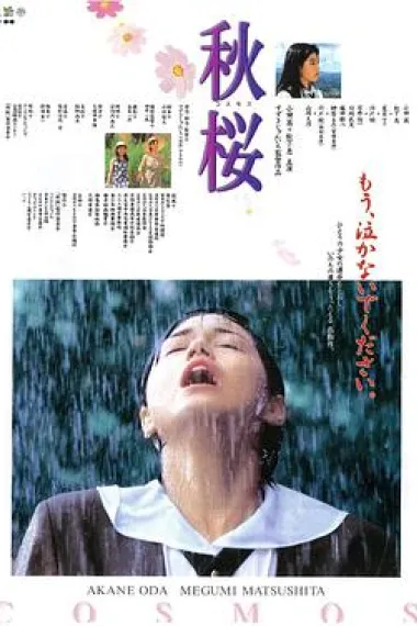 秋樱 下载