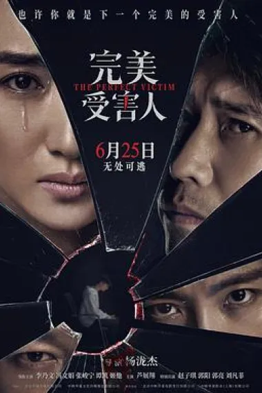 完美受害人 2160P 4K 下载