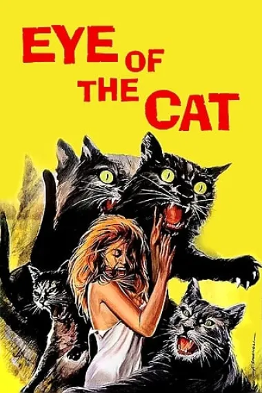 猫眼 下载