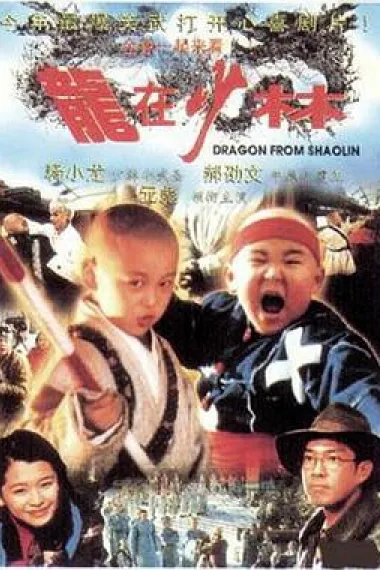 龙在少林 2160P 4K 下载