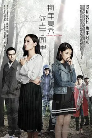 那年夏天你去了哪里 2160P 4K 下载