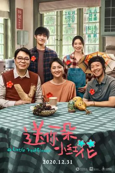 送你一朵小红花 2160P 4K 杜比视界 下载