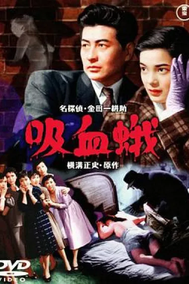 吸血飞蛾 下载