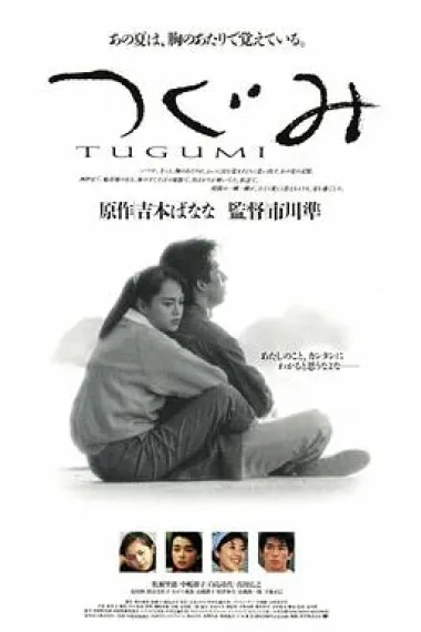 鸫 下载