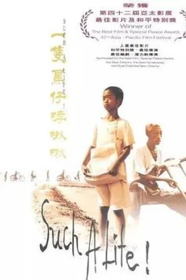 一只鸟仔哮啾啾 2160P 4K 下载