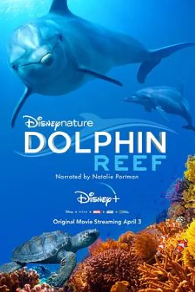 海豚礁 2160P 4K 杜比视界 下载