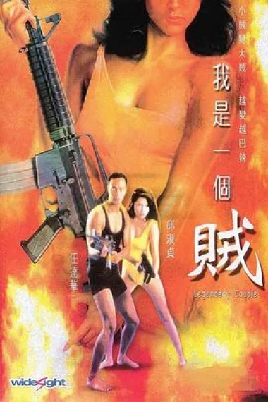 我是一个贼 下载