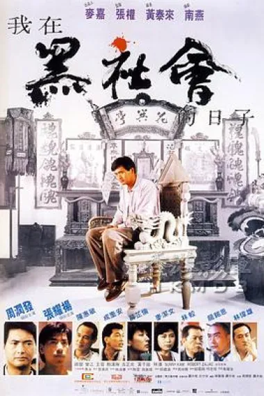 我在黑社会的日子 下载