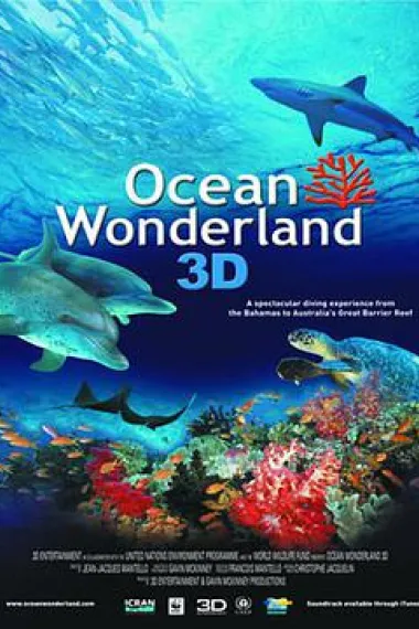 海洋仙境 下载