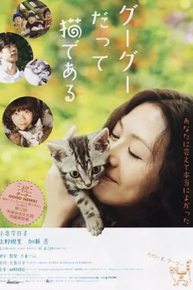 咕咕是一只猫 下载