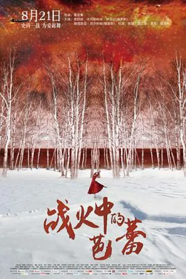 战火中的芭蕾 下载
