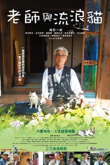 老师与流浪猫 下载