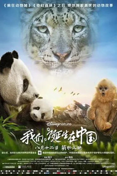 我们诞生在中国 下载