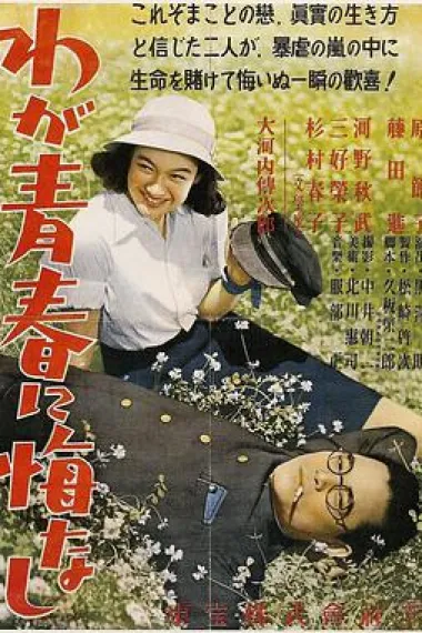 我对青春无悔 下载