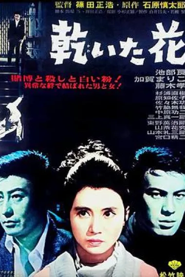 干花 下载