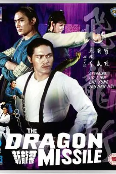 飞龙斩 下载