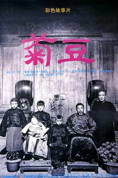 菊豆 下载