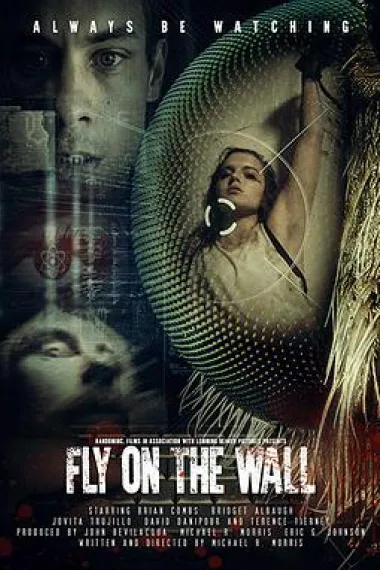 Fly on the Wall 下载