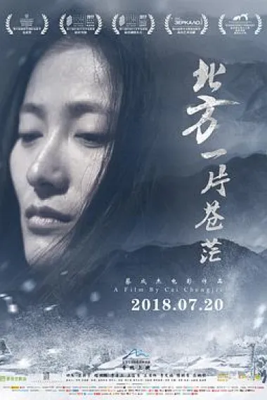 北方一片苍茫 2160P 4K 下载
