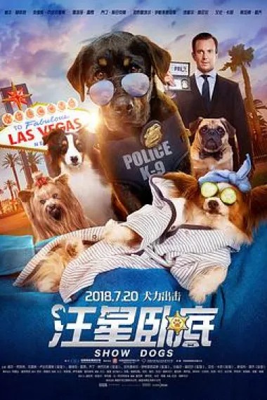汪星卧底 2160P 4K 下载
