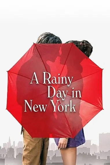 纽约的一个雨天 2160P 4K 下载