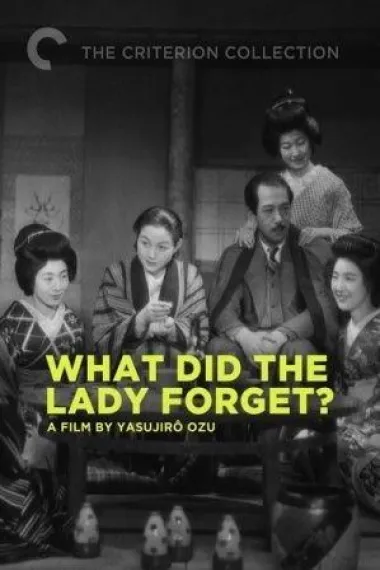 淑女忘记了什么 下载