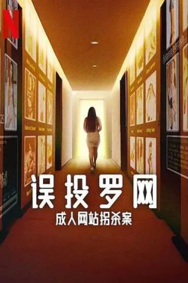 误投罗网:成人网站拐杀案 下载
