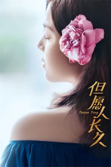 但愿人长久 2160P 4K 下载