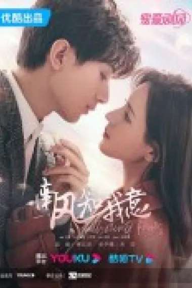 南风知我意 2160P 4K 下载