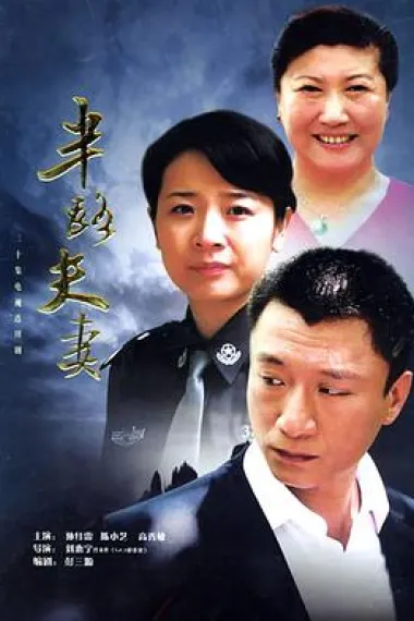 半路夫妻 下载