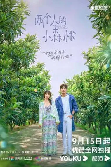 两个人的小森林 2160P 4K 下载