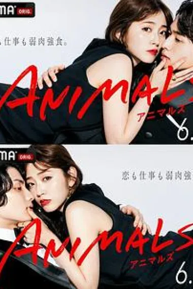 ANIMALS‐アニマルズ‐ 下载