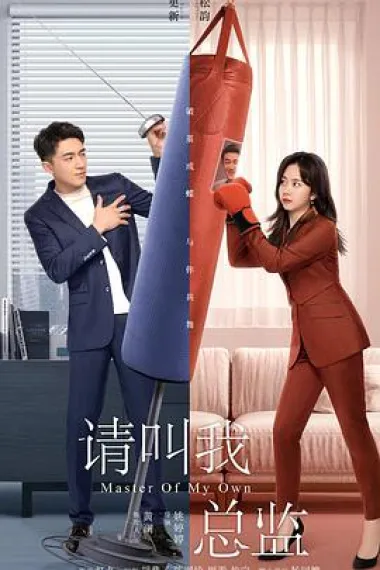 请叫我总监 2160P 4K 下载