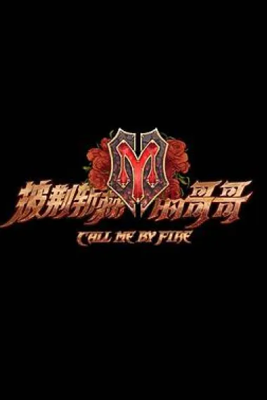 披荆斩棘的哥哥 下载
