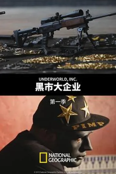 黑市大企业 下载