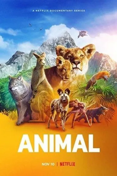动物本色 2160P 4K 下载