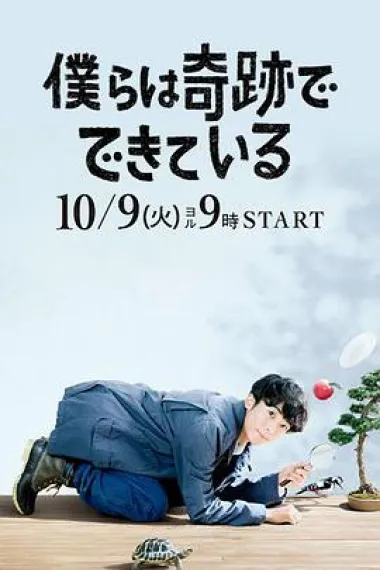 我们由奇迹构成 下载