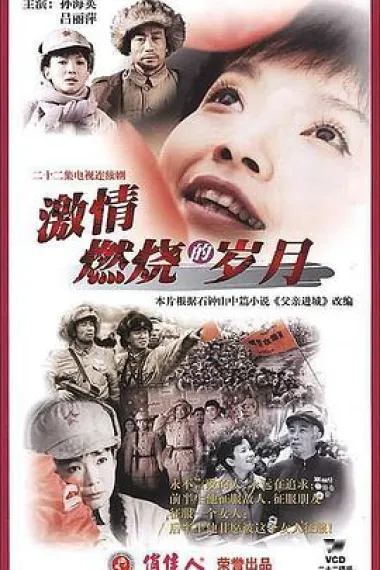 激情燃烧的岁月 2160P 4K 下载