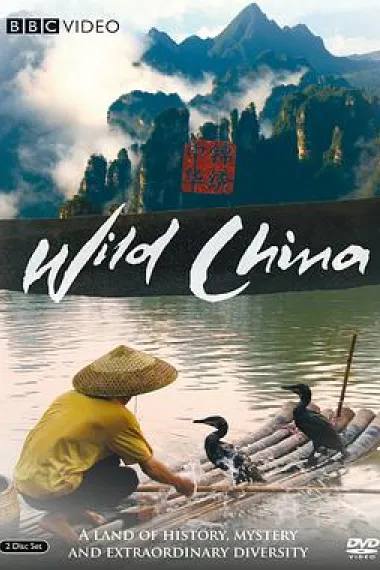 美丽中国 2160P 4K 下载