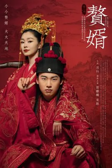 赘婿 2160P 4K 下载