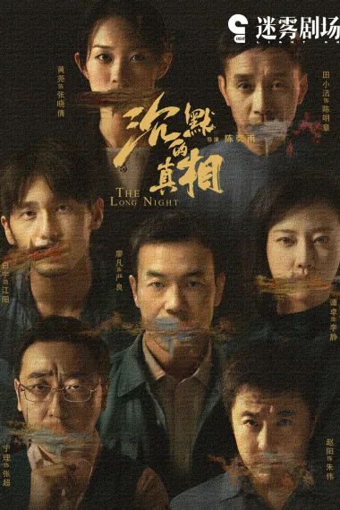 沉默的真相 2160P 4K 下载
